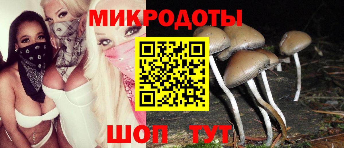 Выборг  Галлюциногенные грибы прущие грибы  Вход с VPN 